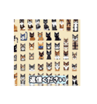 いろいろな猫ちゃんスタンプ（個別スタンプ：12）