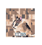 いろいろな猫ちゃんスタンプ（個別スタンプ：26）