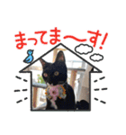 れむちゃんの日常（個別スタンプ：13）