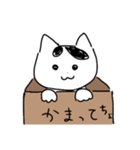 うち猫のさくち（個別スタンプ：4）