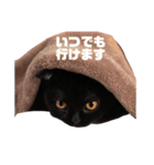 ぐぅ様、降臨（個別スタンプ：2）