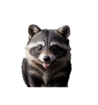 たぬき raccoon dog.（個別スタンプ：4）