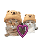 のら君ミミちゃん(猫TikTokerしぶけん)（個別スタンプ：8）