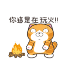 ランラン猫 51 (台湾版)（個別スタンプ：6）