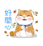 だる猫家族 12 - いちご篇 (日常会話)（個別スタンプ：17）