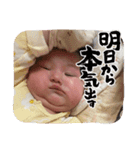 ちびパボ様のかわいいスタンプ2（個別スタンプ：4）