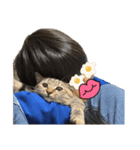 愛猫ばかりのスタンプニッコリ（個別スタンプ：14）