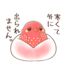 おかし文鳥 1（個別スタンプ：10）