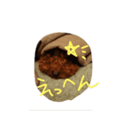 もじゃ季節のスタンプ（個別スタンプ：5）