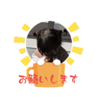 ゆいかとあさひの1日No.2（個別スタンプ：28）