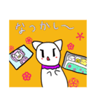 しろねこライフ5（個別スタンプ：12）
