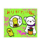 しろねこライフ5（個別スタンプ：13）
