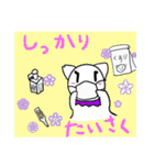 しろねこライフ5（個別スタンプ：19）