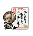 はるのぼやき②（個別スタンプ：23）