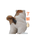 猫の休憩所 こごみ（個別スタンプ：2）