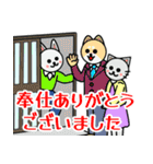 格言を言う猫⑧ ★希望によって喜ぶ★（個別スタンプ：35）