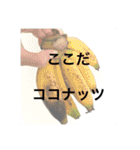 暇をもてあましたお正月2024（個別スタンプ：28）