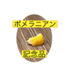 暇をもてあましたお正月2024（個別スタンプ：30）