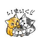 穴猫ちゃんず（個別スタンプ：1）
