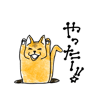 穴猫ちゃんず（個別スタンプ：3）