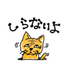 穴猫ちゃんず（個別スタンプ：4）