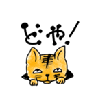 穴猫ちゃんず（個別スタンプ：10）