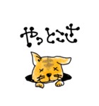 穴猫ちゃんず（個別スタンプ：15）