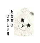 たたえる猫たち - 山田猫 vol.16（個別スタンプ：8）