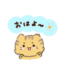 のらねこたち！（個別スタンプ：1）