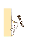 のらねこたち！（個別スタンプ：21）