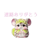 キラキラチンチラ★日常スタンプ（個別スタンプ：24）