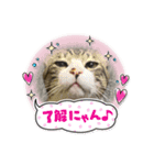 ムツゴロウ♂スタンプ（個別スタンプ：1）