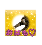 ムツゴロウ♂スタンプ（個別スタンプ：8）