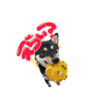 黒柴（豆）第二弾（個別スタンプ：11）