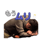 しんじくん、まこちゃん、時々タケくん（個別スタンプ：12）