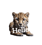 チーター Cheetah（個別スタンプ：23）