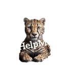 チーター Cheetah（個別スタンプ：24）