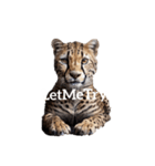 チーター Cheetah（個別スタンプ：29）