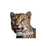 チーター Cheetah（個別スタンプ：37）
