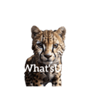 チーター Cheetah（個別スタンプ：39）
