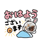 チワワのポッキー♡（個別スタンプ：3）