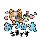 チワワのポッキー♡（個別スタンプ：15）