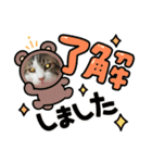 とらきちさん♡（個別スタンプ：2）