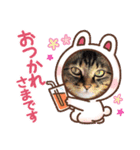 とらきちさん♡（個別スタンプ：6）