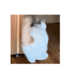 がんばれガッちゃん（個別スタンプ：7）