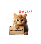 動く！タイ語メッセージボードスタンプ（個別スタンプ：6）