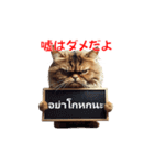 動く！タイ語メッセージボードスタンプ（個別スタンプ：13）