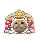 マンチカンのちくわ3（個別スタンプ：3）