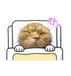 マンチカンのちくわ3（個別スタンプ：4）