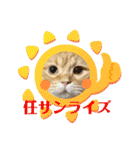 マンチカンのちくわ3（個別スタンプ：21）